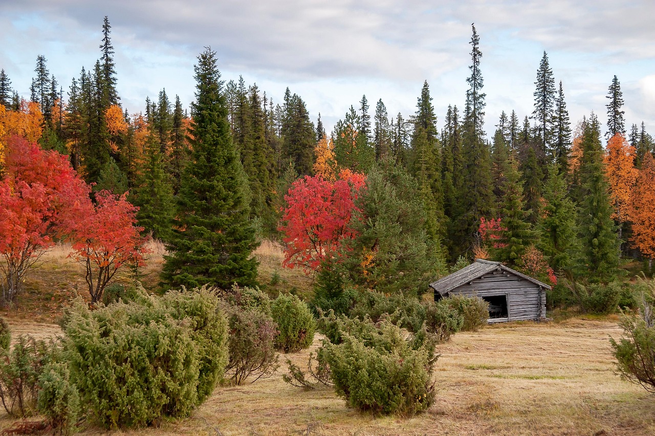 kiertotalous tampere